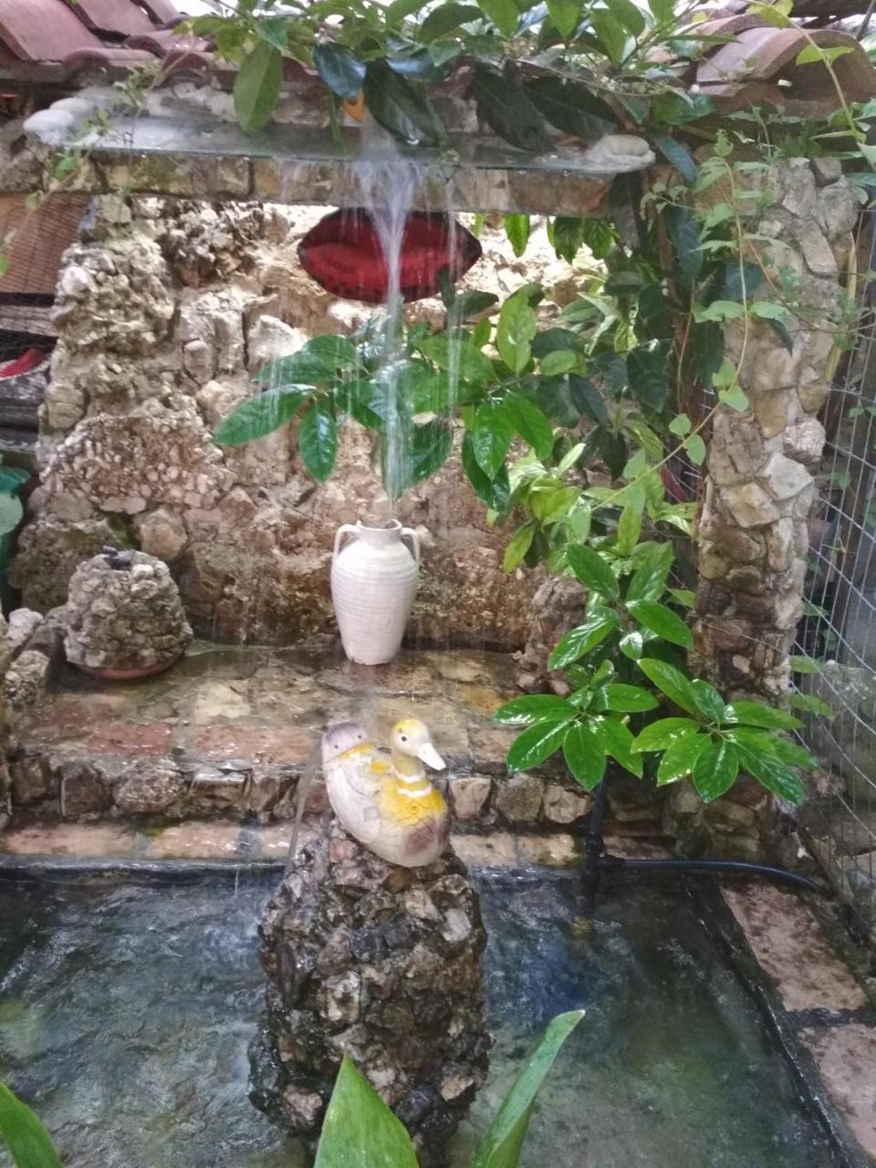 Karafil Guesthouse Gjirokastër Exterior foto